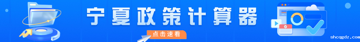 宁夏政策计算器
